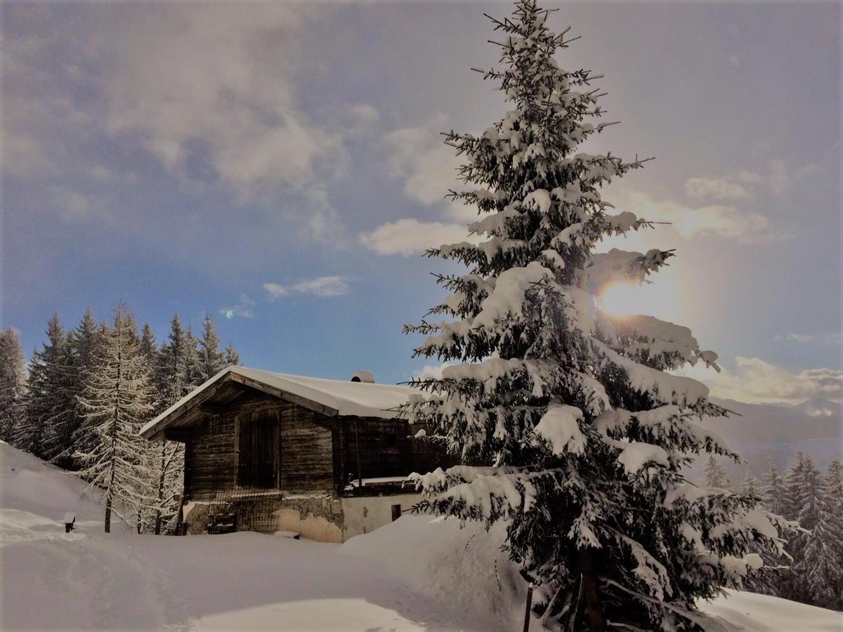 Doris' Nest Apartment Kitzbuhel Ngoại thất bức ảnh
